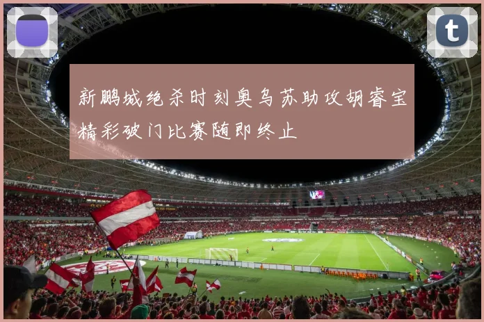 新鹏城绝杀时刻奥乌苏助攻胡睿宝精彩破门比赛随即终止
