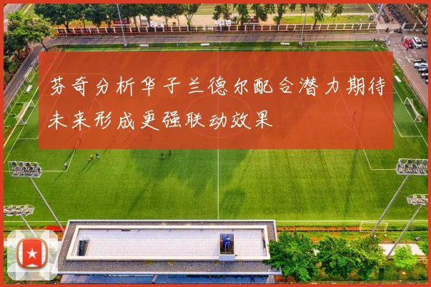 芬奇分析华子兰德尔配合潜力期待未来形成更强联动效果