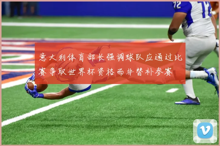 意大利体育部长强调球队应通过比赛争取世界杯资格而非替补参赛